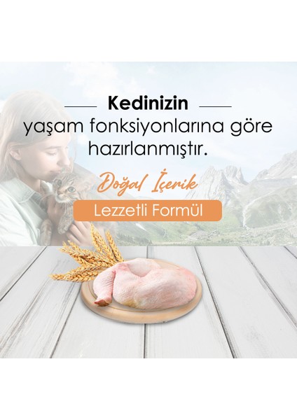 Chicken Tavuklu Yetişkin Kedi Maması 10 kg