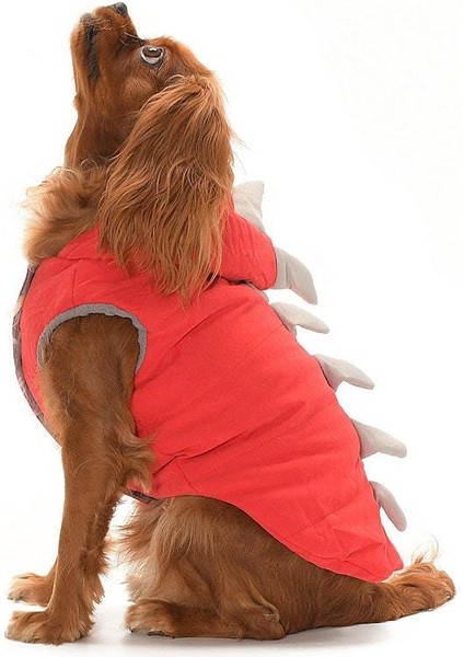 Küçük ve Orta Irk Köpek Ceket - Dino Kırmızı