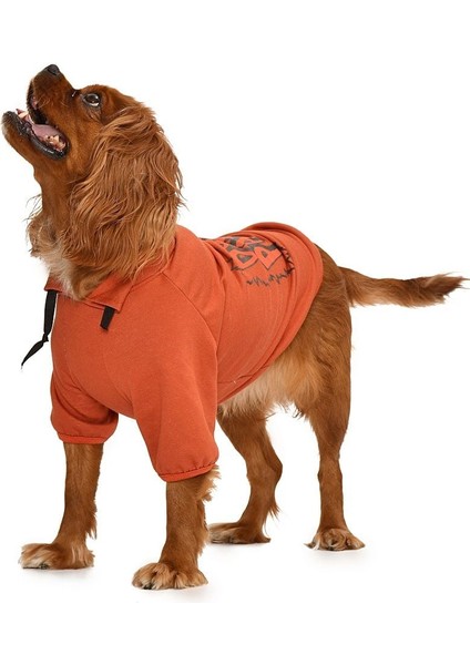 Küçük ve Orta Irk Köpek Sweatshirt - Gigi- Köpek Kıyafeti