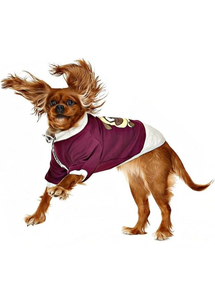 Küçük ve Orta Irk Köpek Sweatshirt - Ingo Mor - Köpek Kıyafeti