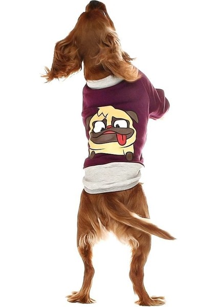 Küçük ve Orta Irk Köpek Sweatshirt - Ingo Mor - Köpek Kıyafeti