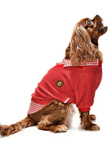 Küçük ve Orta Irk Köpek Sweater - Hodag