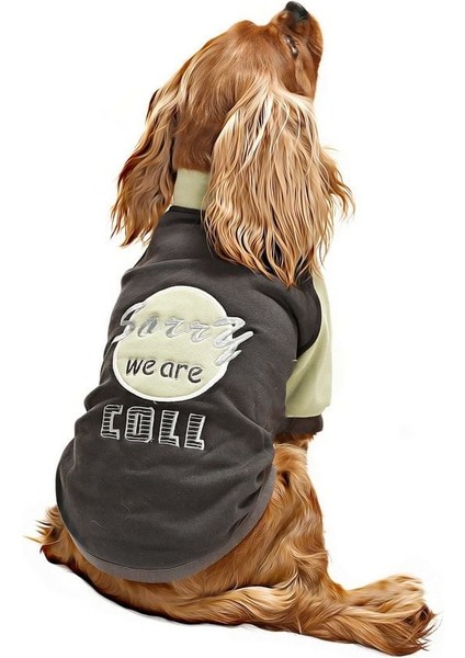 Küçük ve Orta Irk Köpek Sweatshirt - Ramora - Köpek Kıyafeti