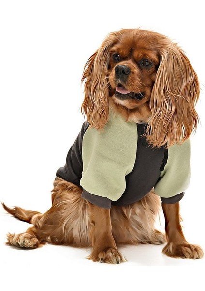 Küçük ve Orta Irk Köpek Sweatshirt - Ramora - Köpek Kıyafeti