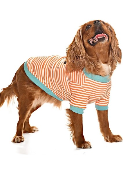 Küçük ve Orta Irk Köpek Sweatshirt - Pabo - Köpek Kıyafeti