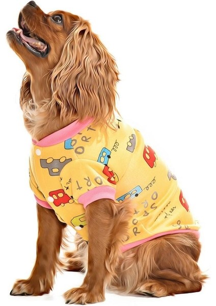 Küçük ve Orta Irk Köpek Sweater - Bargum