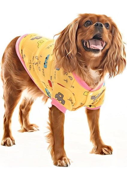 Küçük ve Orta Irk Köpek Sweater - Bargum