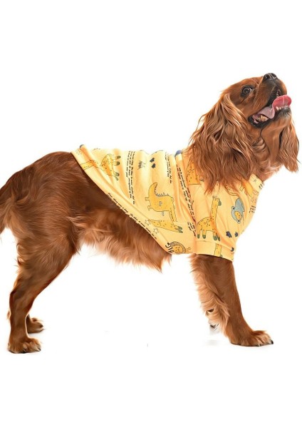 Küçük ve Orta Irk Köpek Sweater - Kindia