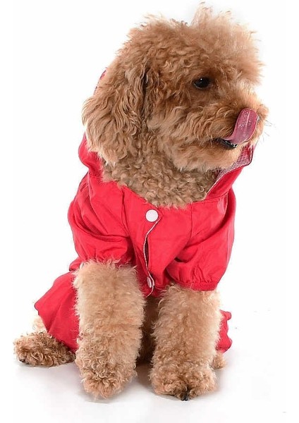 Küçük ve Orta Irk Köpek Paçalı Yağmurluk - Jorma Kırmızı modelleri