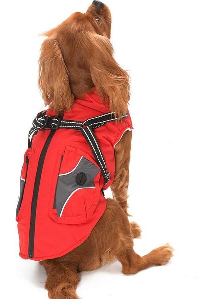 Küçük ve Orta Irk Köpek Yelek Mont - Matana Kırmızı