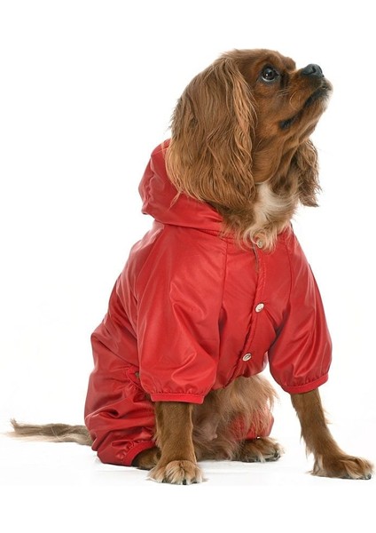 Küçük ve Orta Irk Köpek Paçalı Mont Hurit Kırmızı