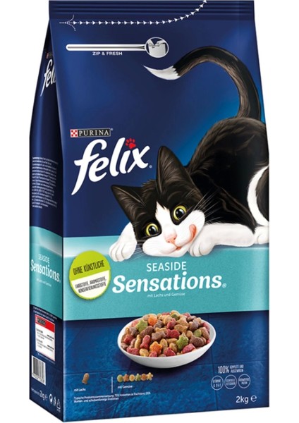 Seaside Sensations Somonlu ve Sebzeli Yetişkin Kuru Kedi Maması 2 kg x 6 Adet