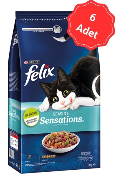 Seaside Sensations Somonlu ve Sebzeli Yetişkin Kuru Kedi Maması 2 kg x 6 Adet