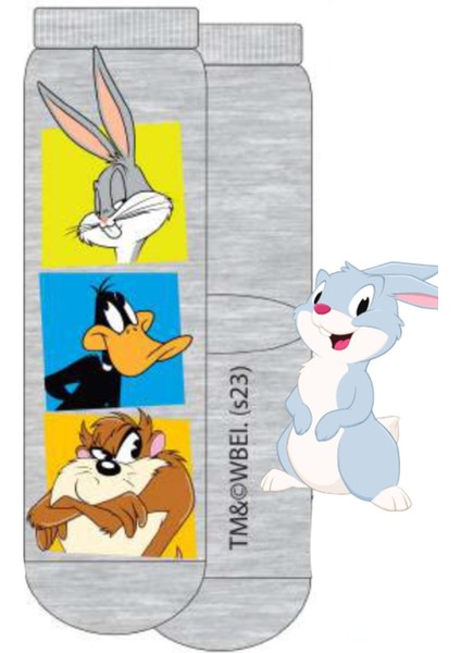 LT21586 Looney Tunes Soket Çorap