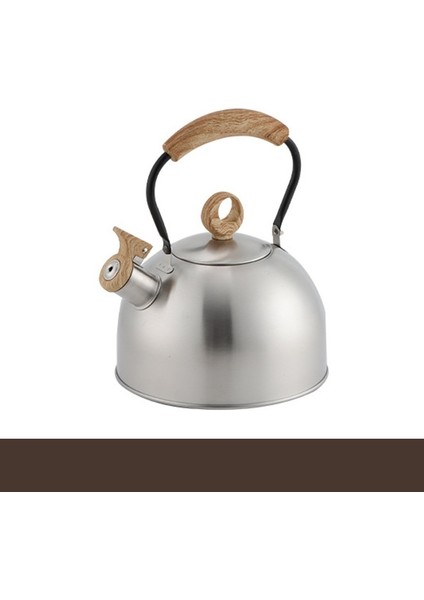 Paslanmaz Çelik Düdüklü Su Isıtıcısı 2.5 Litre Renkli Kaplama Zımpara Düz Dipli Su Isıtıcısı Renkli Su Isıtıcısı Indüksiyon Ocak Gaz Sobası Su Isıtıcısı (Yurt Dışından)