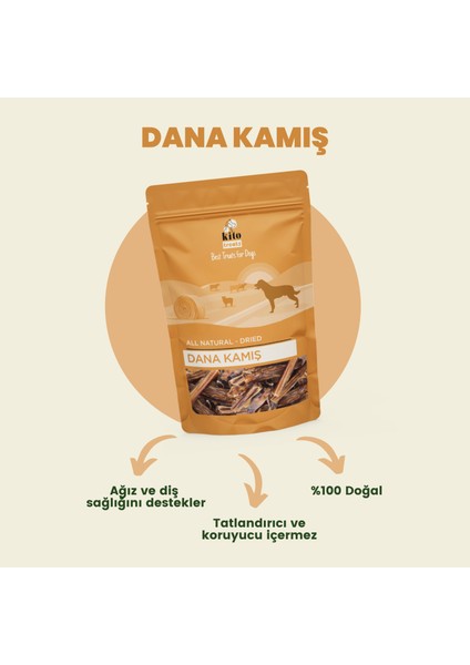 Dana Kamış Çiğnemelik Köpek Ödül Maması %100 Doğal, Glutensiz, Organik 100 gr