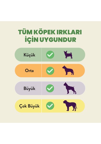 Dana Kamış Çiğnemelik Köpek Ödül Maması %100 Doğal, Glutensiz, Organik 100 gr