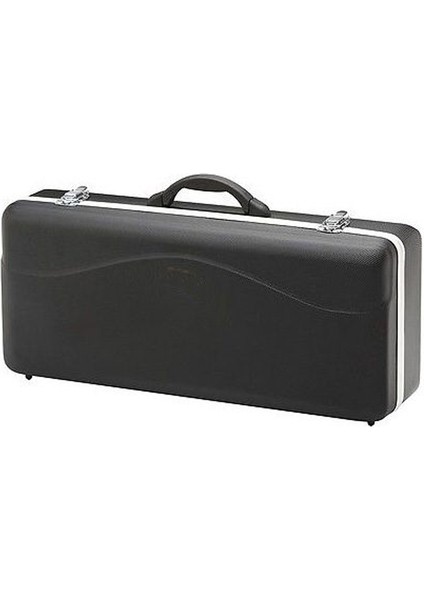 Alto Saksafon Taşıma Hard Case