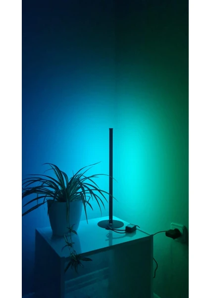 Smyrna Store Rgb Lambader Kumandalı Dekoratif Masaüstü Yatak Başı LED Lambader Aydınlatması 50CM