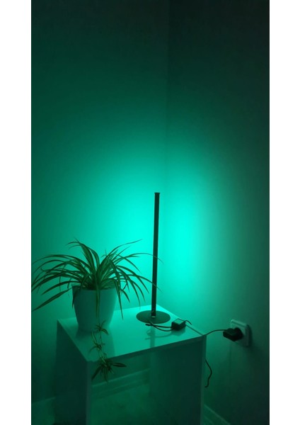 Smyrna Store Rgb Lambader Kumandalı Dekoratif Masaüstü Yatak Başı LED Lambader Aydınlatması 50CM