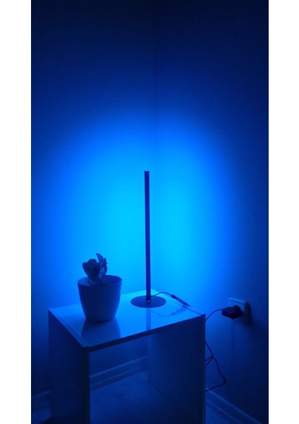 Smyrna Store Rgb Lambader Bluetooth Mobil Kontrollü Dekoratif Masaüstü Yatak Başı LED Lambader Aydınlatması 50CM