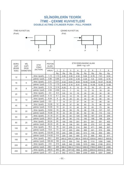 Q 12 - 50 mm Pnömatik Çift Etkili Manyetik Kalem Silindir ( Piston )