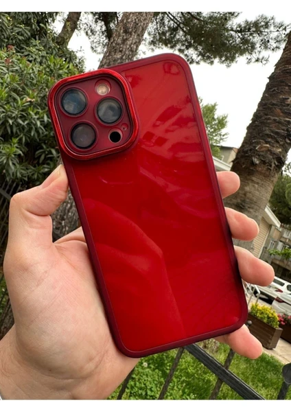 Vip Case Apple Iphone 13 Pro Max Parlak Kamera ve Darbe Korumalı Kenarları Renkli Arkası Şeffaf  Berry Kılıf