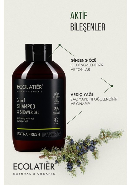 2'si 1 Arada Erkek Şampuan ve Duş Jeli Ekstra Ferah Ginseng, Dengeleyici, Aktif Detoks 400 ml /shampoo Shower Gel