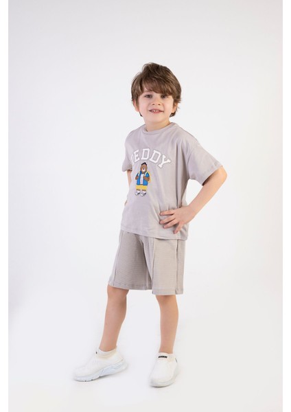 Erkek Çocuk Teddy Ayıcık Işlemeli Şortlu Yazlık Basic Ikili Takım 2-5 Yaş fiyatları