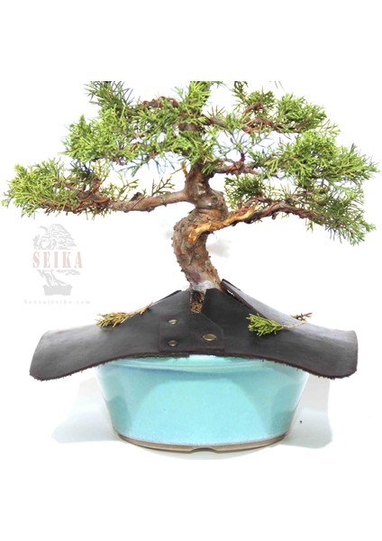 Bonsai Önlüğü (25 Cm)