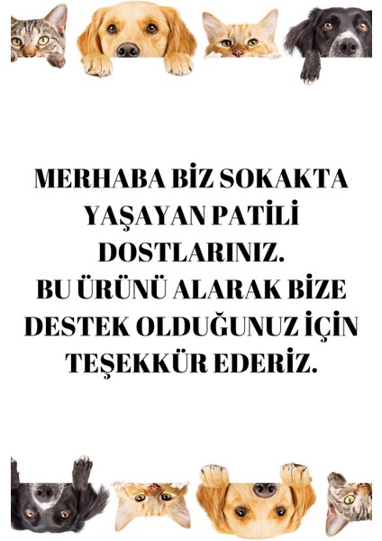4 Lü Kedi Oyun ve Bakım Seti Tüy Toplayıcı Eldiven Çıngıraklı Top Avokado Kedi Nanesi Gökkuşağı Top fiyatları