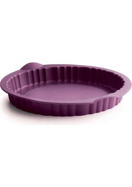 Silikon Tart Kalıbı