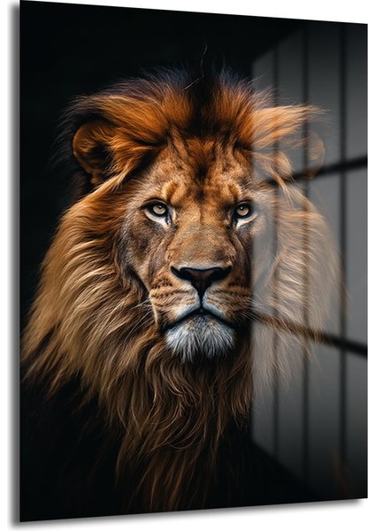 Aslan Portresi̇ Dekorati̇f Di̇key Cam Tablo