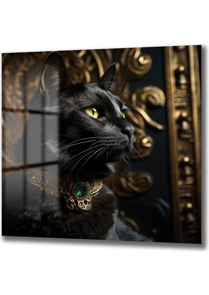 Kara Kedi̇ Kare Cam Tablo fiyatları