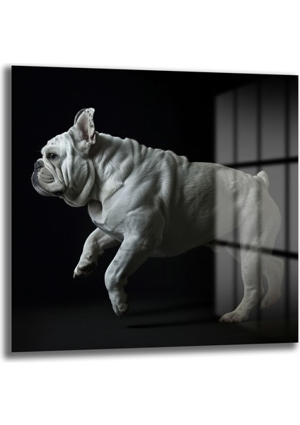 French Bulldog Cam Tablo