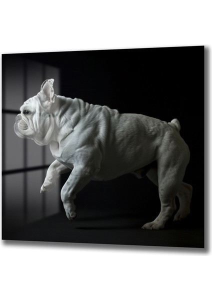 French Bulldog Cam Tablo fiyatları