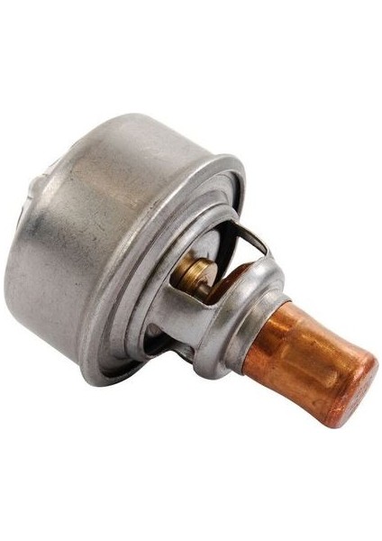 VER-TH4495.89 Termostat R21 Cncrd-Clıo I 90-98 -R11-R1...