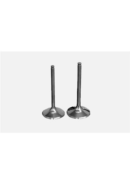 GNS-3996-3997 Subap Emme Eksoz Master-Movano 2.5dcı-Lgn...