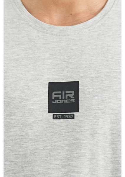 Bert Gri Melanj Standart Kalıp Erkek T-Shirt - 88210