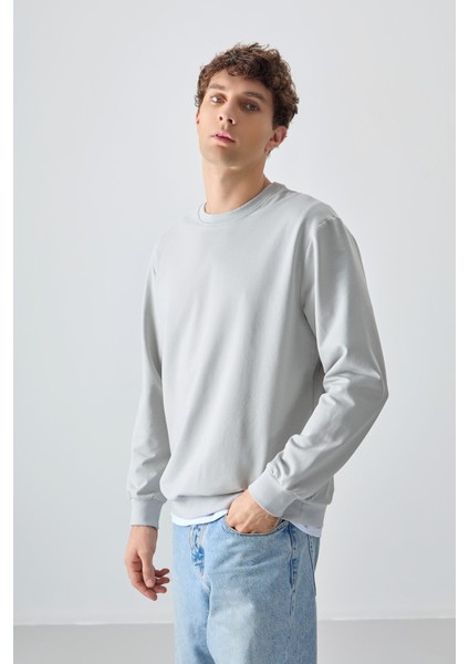 Taş Pamuk Yumuşak Dokulu Standart Fit Basic Erkek Sweatshirt - 88363