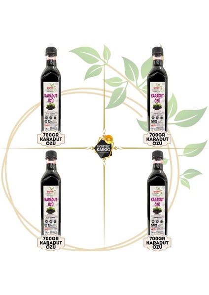 4 Adet Ev Yapımı Karadut ÖZÜ (4X700gr)