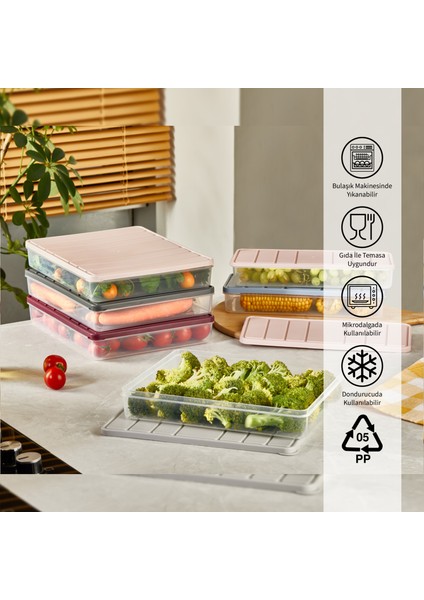 Nora 2'li Küçük Boy 1.2 Lt Saklama Kabı