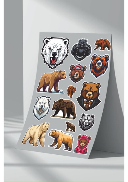 Ayı Bear Sticker Seti (12)
