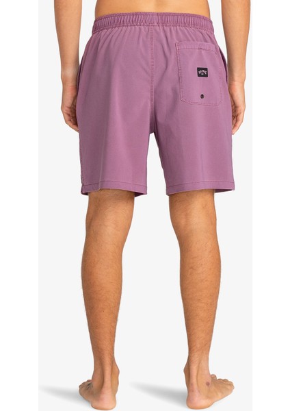 All Day Interchange Layback Erkek Yeşil Mayoşort.plu modelleri