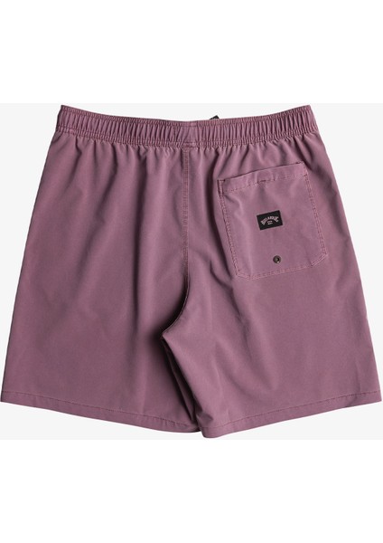 All Day Interchange Layback Erkek Yeşil Mayoşort.plu indirimleri