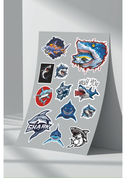 Köpek Balığı Shark Sticker Seti (3)