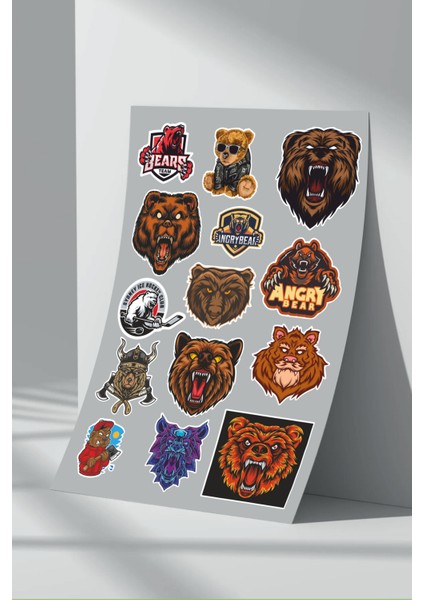 Ayı Bear Sticker Seti (13)