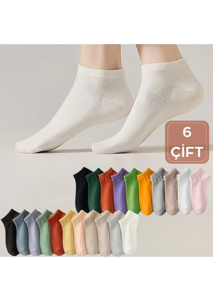 Kral Socks Renkli (6 Çift) Likralı Pamuklu Penye Kadın Patik Çorap