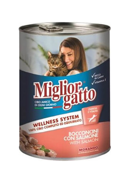 Gatto Somon Balıklı Yetişkin Kedi Konservesi 405 gr