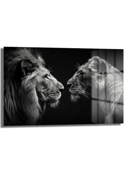 Dekorati̇f Aslan Çi̇ft Yatay Cam Tablo